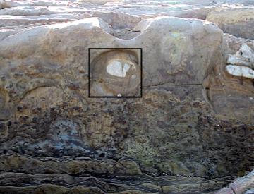 LocationforAdornmentforweb