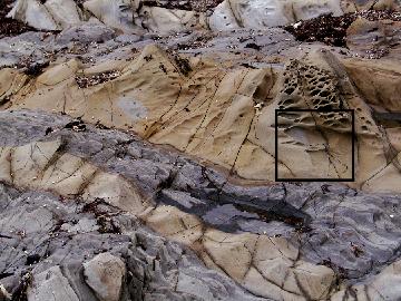 LocationforEmergingAffinityresized