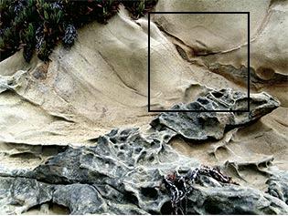 LocationforProcession